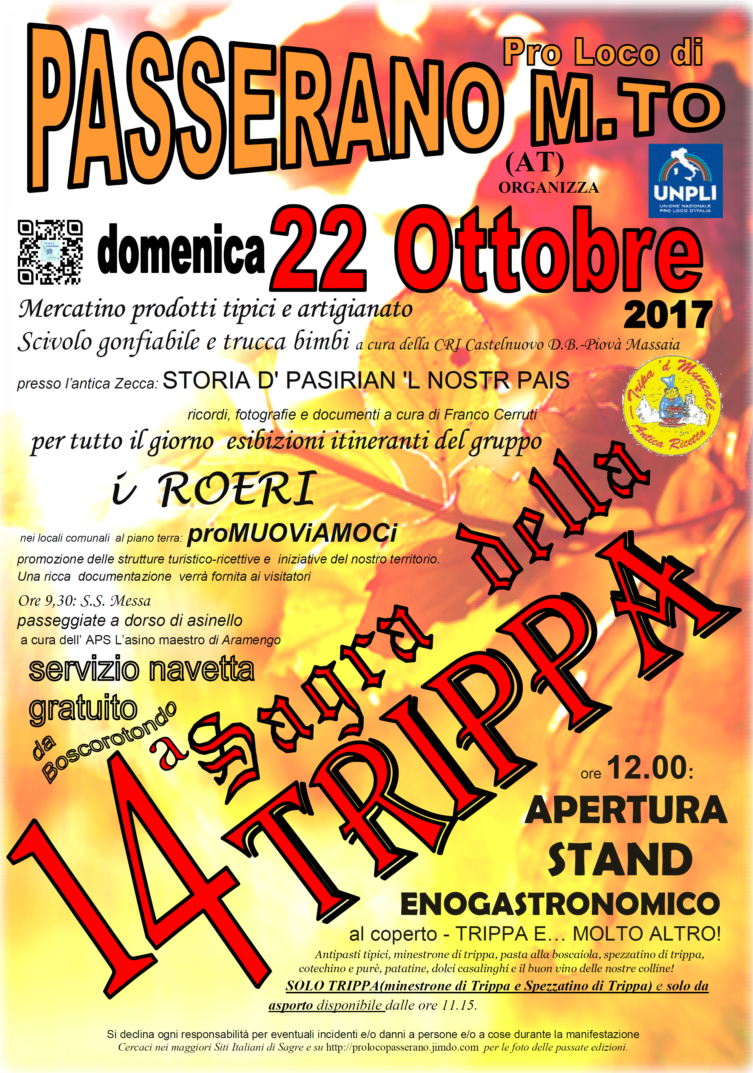 volantino A5 2017.png